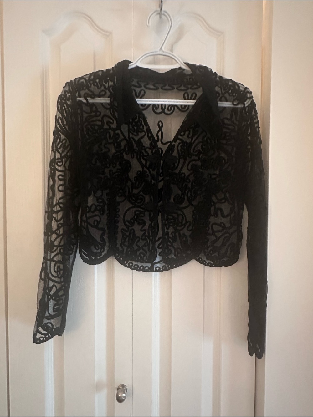Sheer Black Embroidered Cropped blouse
